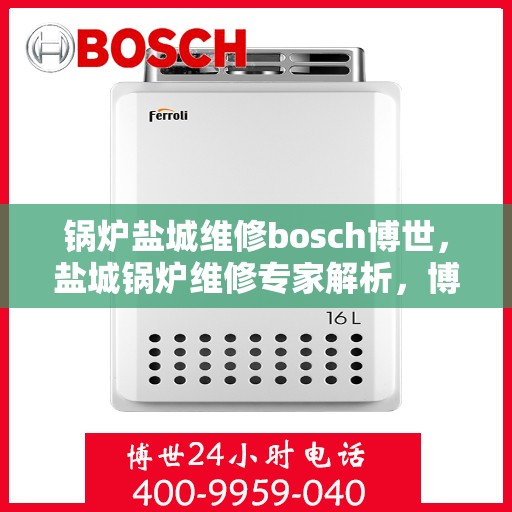 锅炉盐城维修bosch博世，盐城锅炉维修专家解析，博世锅炉维护与保养全攻略