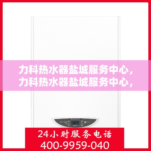 力科热水器盐城服务中心，力科热水器盐城服务中心，专业维修与优质服务并行