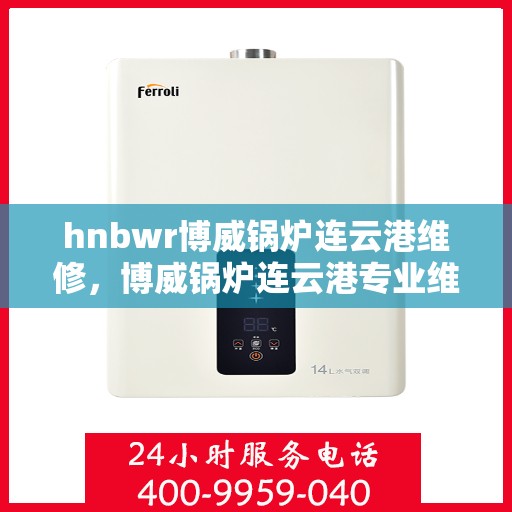hnbwr博威锅炉连云港维修，博威锅炉连云港专业维修服务团队