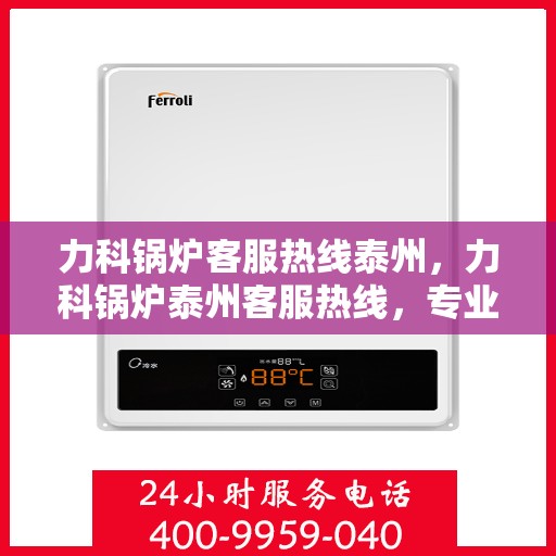 力科锅炉客服热线泰州，力科锅炉泰州客服热线，专业解答，贴心服务
