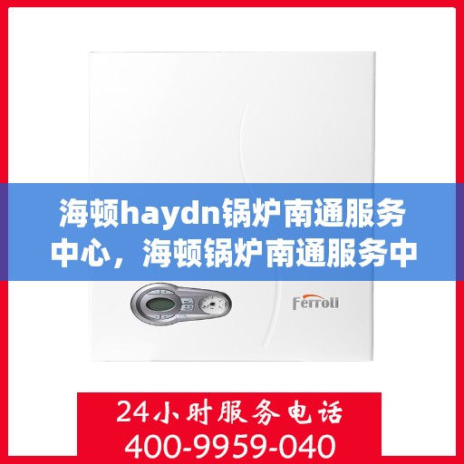 海顿haydn锅炉南通服务中心，海顿锅炉南通服务中心，专业维修与优质服务同步进行
