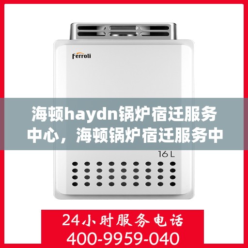 海顿haydn锅炉宿迁服务中心，海顿锅炉宿迁服务中心，专业维修与优质服务并行