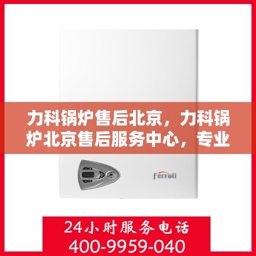 力科锅炉售后北京，力科锅炉北京售后服务中心，专业维修与优质服务同步进行