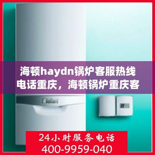 海顿haydn锅炉客服热线电话重庆，海顿锅炉重庆客服热线电话，专业解答，贴心服务
