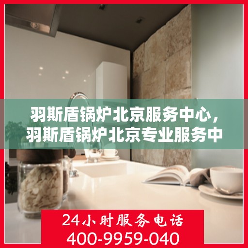 羽斯盾锅炉北京服务中心，羽斯盾锅炉北京专业服务中心，高效服务，品质保障